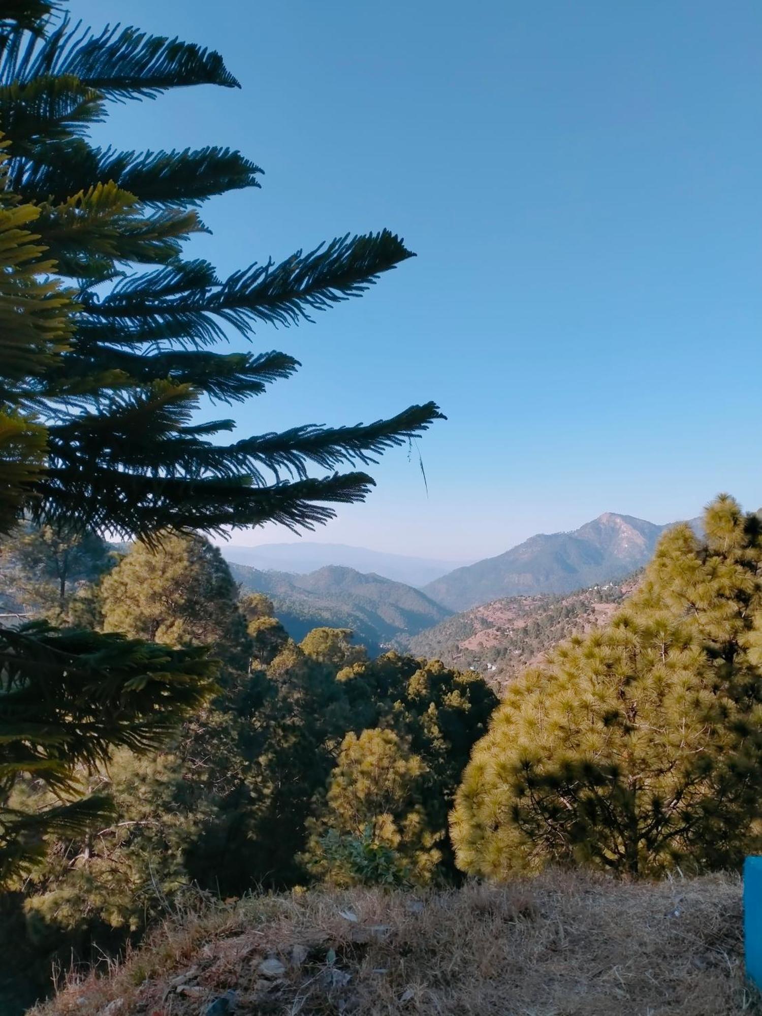 Shree Home Stay Dwarahat Екстериор снимка